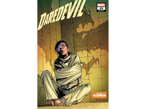 Comic Books Marvel Comics - Daredevil 029 - Pacheco Reborn Variant Edition (Cond. VF-) - 7154 - Cardboard Memories Inc.