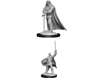 Role Playing Games Wizkids - Dungeons and Dragons - Unpainted Miniature - Nolzurs Marvellous Miniatures - Human Male Paladin - 90136 - Cardboard Memories Inc.