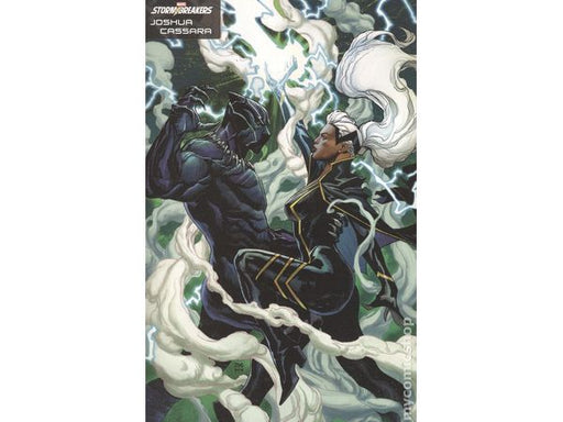 Comic Books Marvel Comics - Black Panther Legends 002 of 4 - Cassara Stormbreakers Variant Edition  (Cond. VF-) - 10415 - Cardboard Memories Inc.