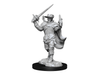 Role Playing Games Wizkids - Dungeons and Dragons - Unpainted Miniature - Nolzurs Marvellous Miniatures - Human Bard Male - 90306 - Cardboard Memories Inc.