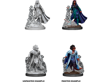Role Playing Games Wizkids - Dungeons and Dragons - Unpainted Miniature - Nolzurs Marvellous Miniatures - Female Tiefling Sorcerer - 90059 - Cardboard Memories Inc.