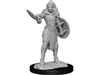 Role Playing Games Paizo - Pathfinder - Unpainted Miniatures - Deep Cuts - Human Champion Female - 90264 - Cardboard Memories Inc.