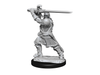 Role Playing Games Wizkids - Dungeons and Dragons - Unpainted Miniature - Nolzurs Marvellous Miniatures - Human Male Paladin - 90220 - Cardboard Memories Inc.