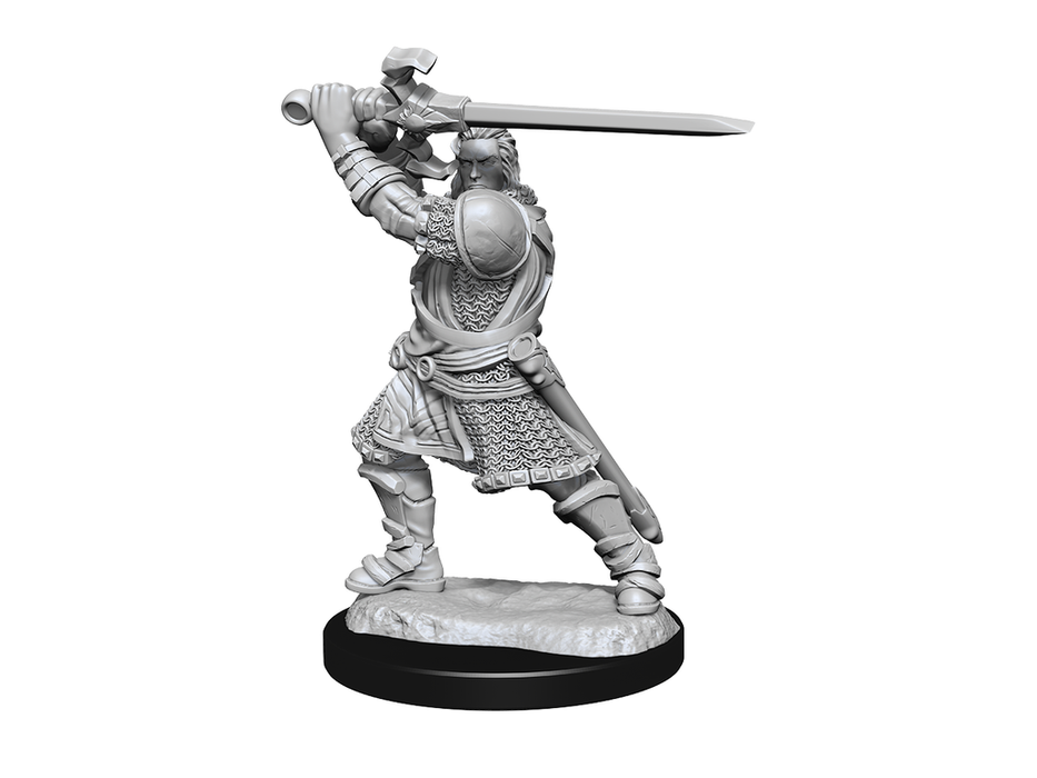Role Playing Games Wizkids - Dungeons and Dragons - Unpainted Miniature - Nolzurs Marvellous Miniatures - Human Male Paladin - 90220 - Cardboard Memories Inc.
