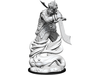 Role Playing Games Wizkids - Dungeons and Dragons - Unpainted Miniature - Nolzurs Marvellous Miniatures - Djinni - 90162 - Cardboard Memories Inc.