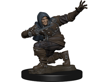 Role Playing Games Wizkids - Pathfinder - Premium Miniatures - Human Male Rogue - 77500 - Cardboard Memories Inc.