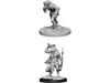 Role Playing Games Wizkids - Dungeons and Dragons - Nolzurs Marvellous Miniatures - Wererat and Weretiger - 90014 - Cardboard Memories Inc.