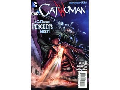 Comic Books DC Comics - Catwoman 020 - 2072 - Cardboard Memories Inc.