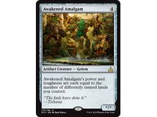Trading Card Games Magic The Gathering - Awakened Amalgam - Rare - RIX175 - Cardboard Memories Inc.