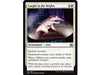 Trading Card Games Magic The Gathering - Caught in the Brights - Common  - AER010 - Cardboard Memories Inc.