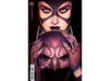 Comic Books DC Comics - Catwoman 039 - Frison Card Stock Variant Edition (Cond. VF-) - 9873 - Cardboard Memories Inc.