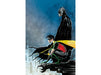 Comic Books DC Comics - Robin and Batman 001 of 3 - Lemire Variant Edition (Cond. VF-) - 10279 - Cardboard Memories Inc.
