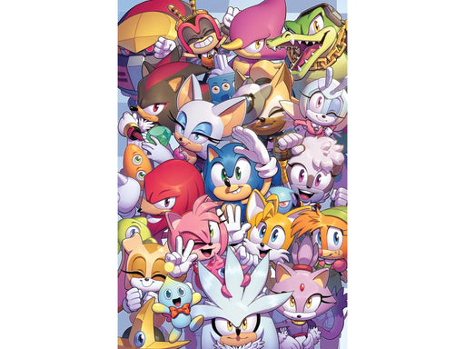 Comic Books IDW Comics - Sonic the Hedgehog 050 (Cond. VF-) Evan Stanley Variant - 18583 - Cardboard Memories Inc.