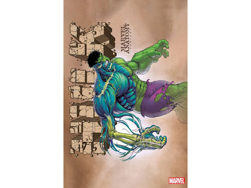Comic Books Marvel Comics - Hulk 011 (Cond. VF-) Marvel Anatomy Lobe Variant - 18538 - Cardboard Memories Inc.
