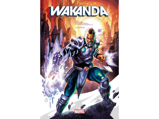 Comic Books Marvel Comics - Wakanda 002 (Cond. VF-) 15335 - Cardboard Memories Inc.
