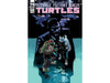 Comic Books, Hardcovers & Trade Paperbacks IDW - TMNT Ongoing 119 Cover A Nelson Daniel (Cond. VF-) - 12462 - Cardboard Memories Inc.
