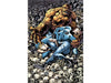 Comic Books, Hardcovers & Trade Paperbacks Marvel Comics - Fantastic Four (2007) 556 (Cond. FN) - 15406 - Cardboard Memories Inc.