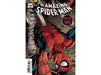Comic Books Marvel Comics -  The Amazing Spider-Man - 072 - (Cond. VF) - 10094 - Cardboard Memories Inc.