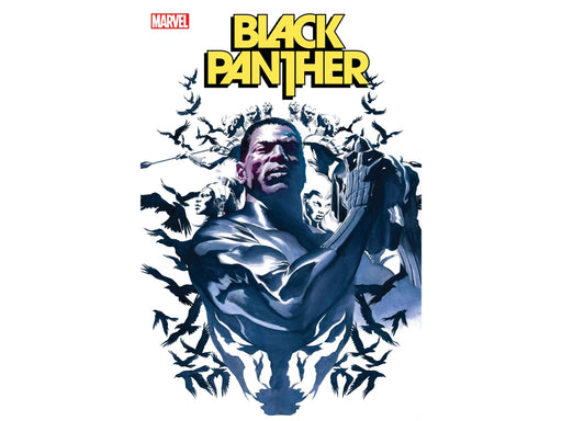 Comic Books Marvel Comics - Black Panther 002 (Cond.VF-) 17231 - Cardboard Memories Inc.