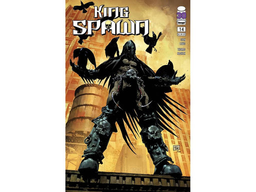 Comic Books Image Comics - King Spawn 014 (Cond. VF-) - Nachlik Variant Edition - 14324 - Cardboard Memories Inc.