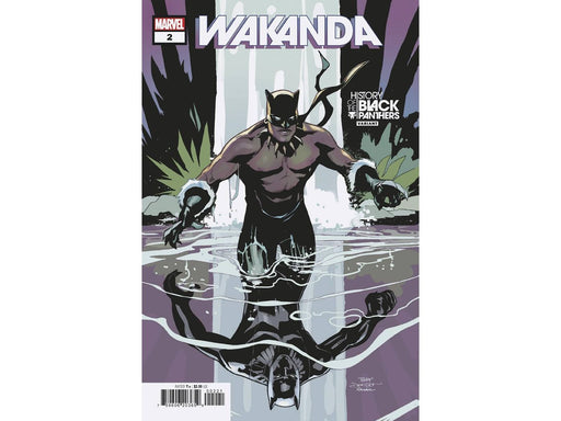 Comic Books Marvel Comics - Wakanda 002 Dodson Variant (Cond. VF-) 15334 - Cardboard Memories Inc.