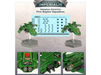 Collectible Miniature Games Games Workshop - Aeronautica Imperialis - Adeptus Astartes - Fire Raptor Gunship Squadron - 500-43 - Cardboard Memories Inc.