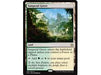 Trading Card Games Magic The Gathering - Sunpetal Grove - Rare - XLN257 - Cardboard Memories Inc.
