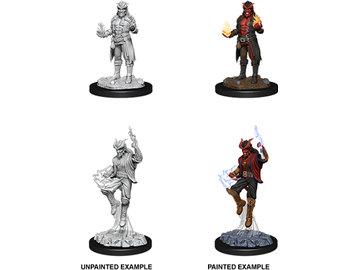 Role Playing Games Wizkids - Dungeons and Dragons - Unpainted Miniature - Nolzurs Marvellous Miniatures - Male Tiefling Sorcerer - 90058 - Cardboard Memories Inc.