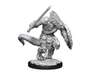 Role Playing Games Wizkids - Dungeons and Dragons - Unpainted Miniature - Nolzurs Marvellous Miniatures - Lizard Folk Bard and Cleric - 90308 - Cardboard Memories Inc.