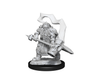 Role Playing Games Wizkids - Dungeons and Dragons - Unpainted Miniature - Nolzurs Marvellous Miniatures - Dwarf Cleric Male - 90222 - Cardboard Memories Inc.