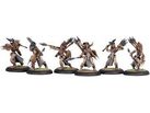 Collectible Miniature Games Privateer Press - Hordes - Circle Orboros - Tharn Bloodtrackers - PIP 72071 - Cardboard Memories Inc.