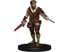 Role Playing Games Wizards of the Coast - Dungeons and Dragons - Icons of the Realms - Human Rogue Male - Premium Figure - 93022 - Cardboard Memories Inc.