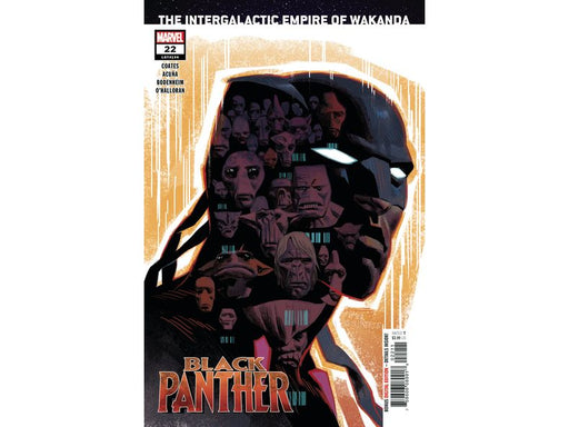 Comic Books Marvel Comics - Black Panther 022 - Cardboard Memories Inc.