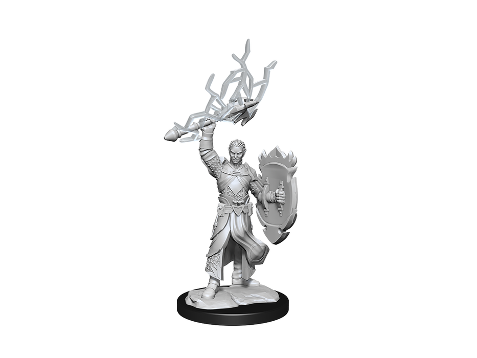 Role Playing Games Wizkids - Dungeons and Dragons - Unpainted Miniature - Nolzurs Marvellous Miniatures - Half-Elf Paladin Male - 90230 - Cardboard Memories Inc.