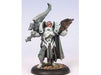 Collectible Miniature Games Privateer Press - Warmachine - Retribution of Scyrah - Warcaster Dawnlord Vyros - PIP 35001 - Cardboard Memories Inc.