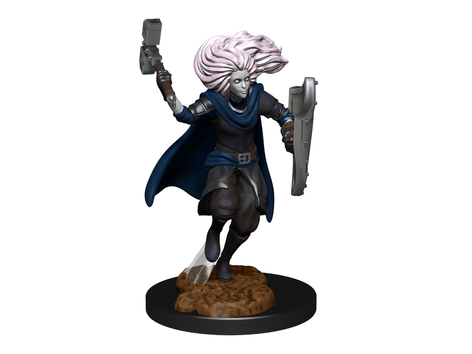 Role Playing Games Wizkids - Dungeons and Dragons - Unpainted Miniature - Nolzurs Marvellous Miniatures - Changeling Cleric Male - 90237 - Cardboard Memories Inc.