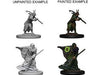 Role Playing Games Wizkids - Dungeons and Dragons -  Nolzurs Marvellous Miniatures - Elf Male Druid - 72641 - Cardboard Memories Inc.