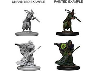 Role Playing Games Wizkids - Dungeons and Dragons -  Nolzurs Marvellous Miniatures - Elf Male Druid - 72641 - Cardboard Memories Inc.