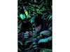 Comic Books DC Comics - Forever Evil Aftermath - Batman vs. Bane - 4817 - Cardboard Memories Inc.