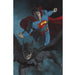 Comic Books DC Comics - Batman Superman 010 - Card Stock R Federici Variant Edition (Cond. VF-) - 12176 - Cardboard Memories Inc.
