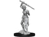 Role Playing Games Wizkids - Magic the Gathering - Unpainted Miniature - Nahiri - 90274 - Cardboard Memories Inc.