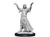 Role Playing Games Wizkids - Unpainted Miniature - Deep Cuts - Plague Doctor and Cultist - 90338 - Cardboard Memories Inc.