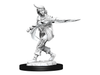Role Playing Games Paizo - Pathfinder - Unpainted Miniatures - Deep Cuts - Human Rogue Female - 90269 - Cardboard Memories Inc.