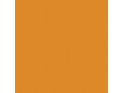 Paints and Paint Accessories Privateer Press - Formula P3 Paint - Ember Orange - PIP 93023 - Cardboard Memories Inc.