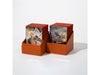 Supplies Ultimate Guard - Boulder Deck Case - Return to Earth - Orange - 100 - Cardboard Memories Inc.