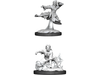 Role Playing Games Wizkids - Dungeons and Dragons - Nolzurs Marvellous Miniatures - Female Human Monk - 90008 - Cardboard Memories Inc.