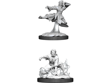 Role Playing Games Wizkids - Dungeons and Dragons - Nolzurs Marvellous Miniatures - Female Human Monk - 90008 - Cardboard Memories Inc.