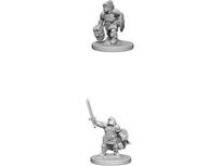 Role Playing Games Wizkids - Dungeons and Dragons - Unpainted Miniature - Nolzurs Marvellous Miniatures - Dwarf Female Paladin - 72631 - Cardboard Memories Inc.