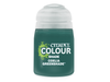 Paints and Paint Accessories Citadel Shade Paint - Coelia Greenshade - 24-22 - Cardboard Memories Inc.