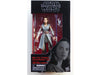 Action Figures and Toys Hasbro - Star Wars - The Black Series - Rey - Jedi Training - Cardboard Memories Inc.